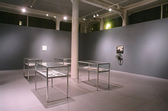 There are no rules in pointing, installation view 2 Transmission Gallery, 2005